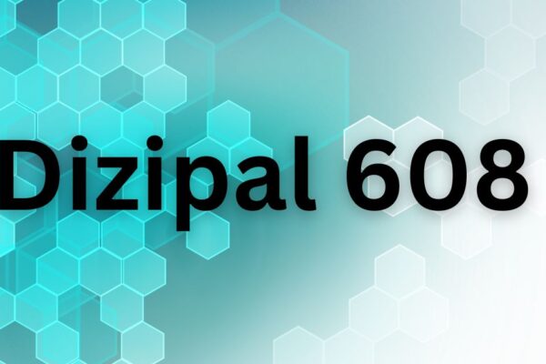 Dizipal 608